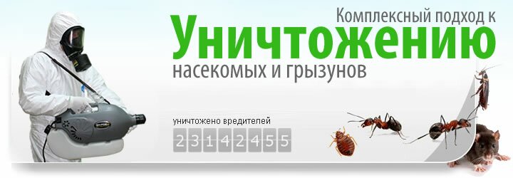 Дезинсекция и дератизация помещений - Скорая Дезинфекционная Служба