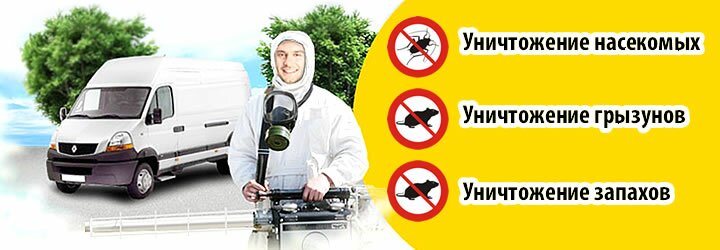Тестовый сплэш 3